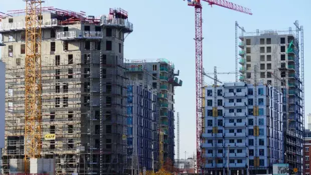 BLACK SWANS STRASBOURG